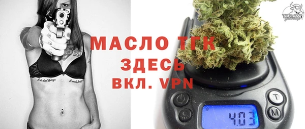 прущие грибы Гусь-Хрустальный