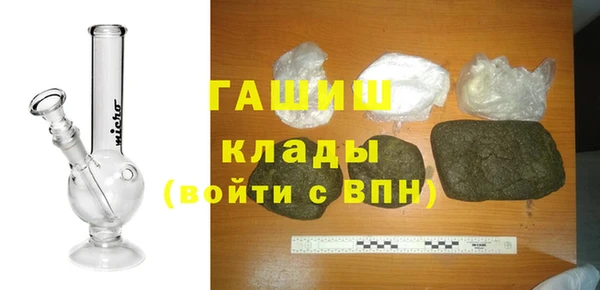 прущие грибы Гусь-Хрустальный