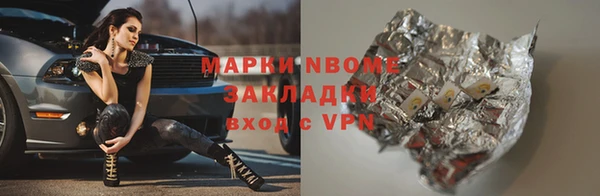 прущие грибы Гусь-Хрустальный