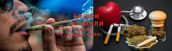 прущие грибы Гусь-Хрустальный
