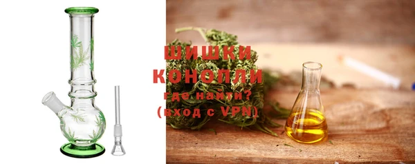 прущие грибы Гусь-Хрустальный
