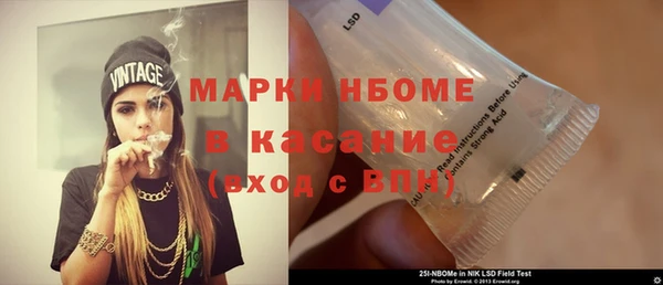 прущие грибы Гусь-Хрустальный