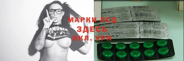 прущие грибы Гусь-Хрустальный