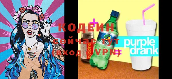 прущие грибы Гусь-Хрустальный