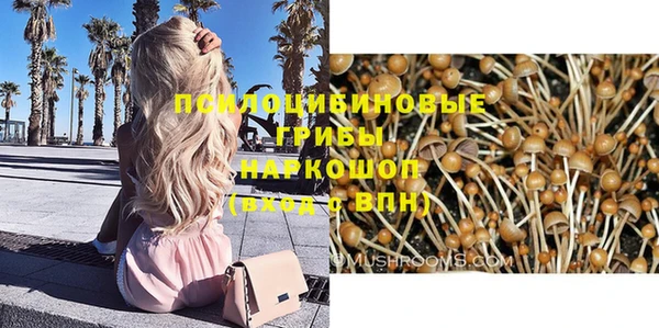 марки lsd Гусиноозёрск