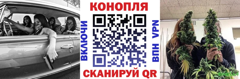 Бошки марихуана планчик  Купить  Белёв 